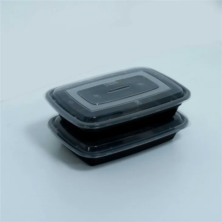 Disposable Meal Boxes with Lids - Perfect for Food Delivery Services (3)