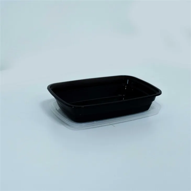 Eco-Friendly 750ml & 1000ml Disposable Lunch Boxes (6)