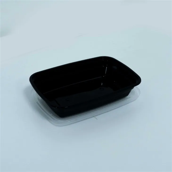 Eco-Friendly 750ml & 1000ml Disposable Lunch Boxes (5)