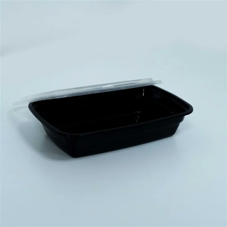 Professional Disposable Lunch Boxes - The Choice of Chefs for Catering (4) Professional Disposable Lunch Boxes - The Choice of Chefs for Catering (4)